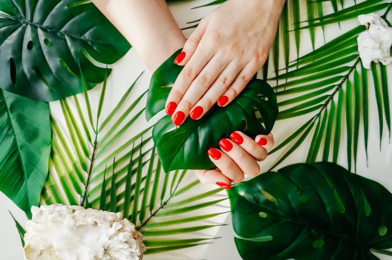 Manicured woman's nails with red nail polish.